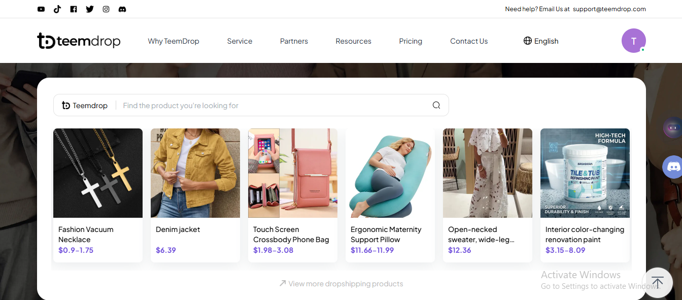Teemdrop dashboard — best dropshipping supplier for branded stores